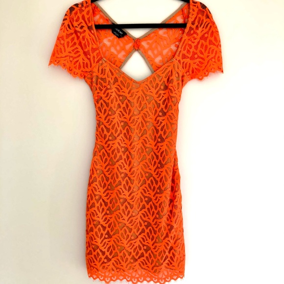 Backless lace mini gorgeous bebe summer dress - Picture 3 of 8